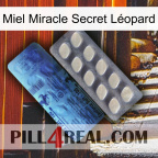 Miel Miracle Secret Léopard 34